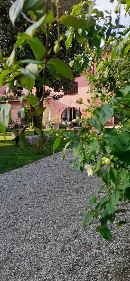 Residenza La Dimora Imperfetta Hotel Salionze Exterior photo